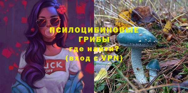 шишки Арсеньев