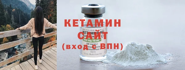 шишки Арсеньев