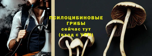 шишки Арсеньев