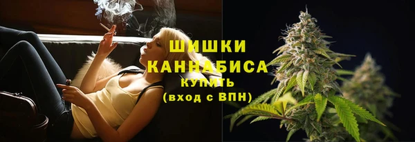шишки Арсеньев