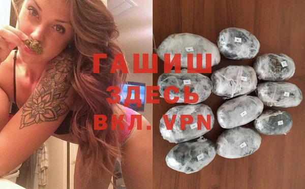 шишки Арсеньев