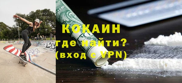 шишки Арсеньев