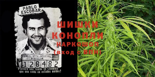 хмурый Алзамай