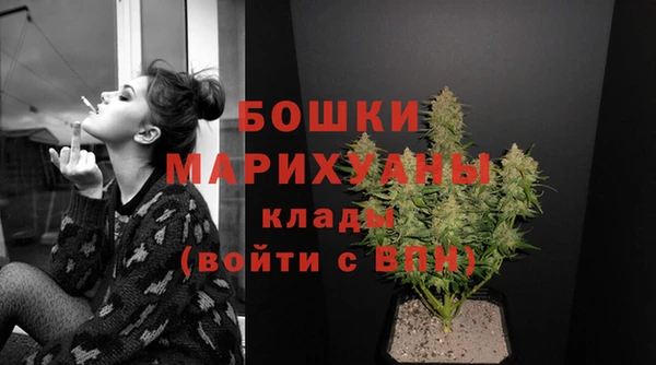 шишки Арсеньев