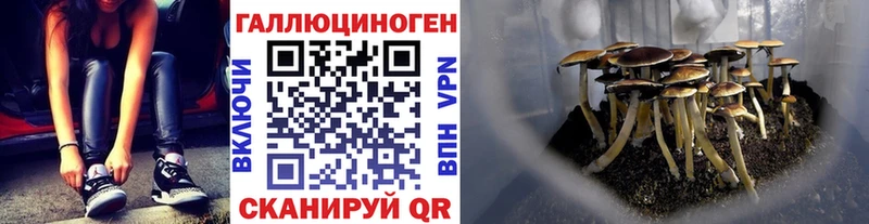 Псилоцибиновые грибы мицелий  MEGA ссылки  Нижний Ломов  где купить  